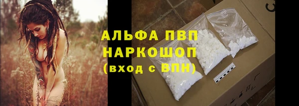 трава Аркадак