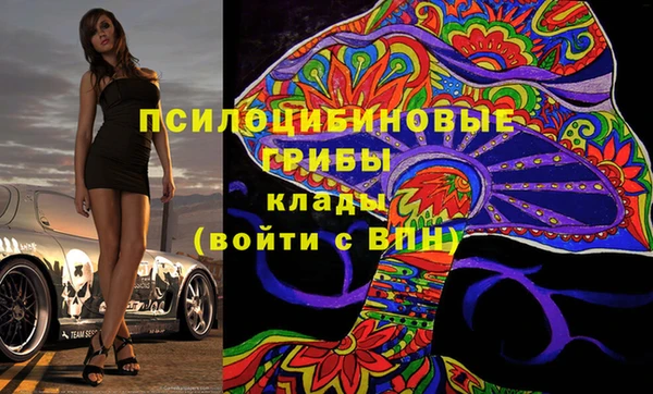 трава Аркадак