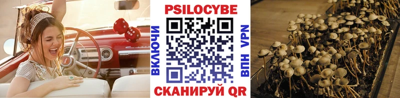 Псилоцибиновые грибы GOLDEN TEACHER Белореченск